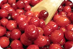 cranberry-lip-gloss