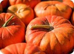 pumpkin-vitamina-lg