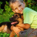 Собаки снижают риск аллергии у детей